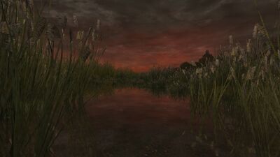 As the river runs along the northern border of Gondor, it passes the Beacon Hills to the south. Despite receivng the waters of Entwash, the Anduin is at its most shallow level at this point, since the water spreads over a vast area of marshlands called Nindalf (Wetwang), and beyond into the Dead Marshes where it stagnates.