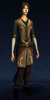 Farmer's Fancy Tunic and Trousers