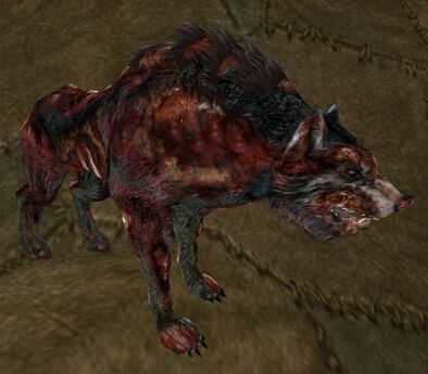 Warg Stalker Appearances - Lotro-Wiki.com