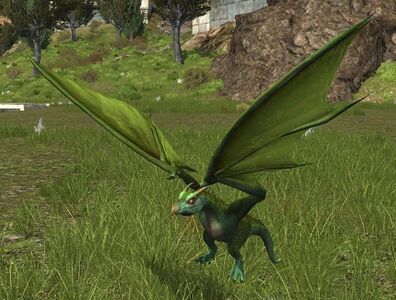 Emerald Drakeling (Wings Up)