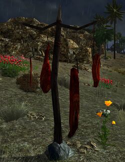 Image of Area for First Trap