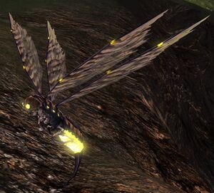 Luminous Fire-fly (Eregion).jpg