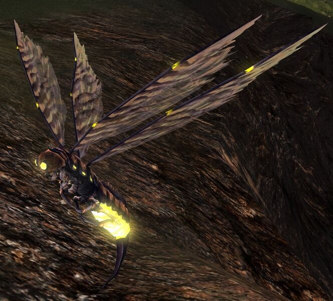 File:Luminous Fire-fly (Eregion).jpg