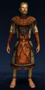 Patched Hauberk
