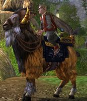 Image of Prized Nimble Redhorn-goat