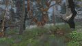 Thumbnail for version as of 16:41, 15 October 2025