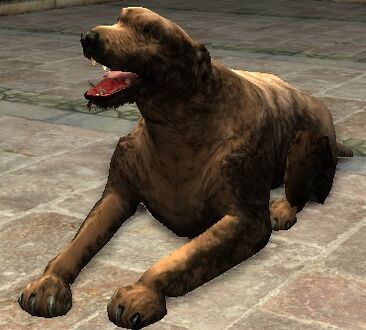 Hound Property Guard