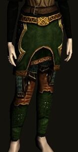 Shadow-stalker Leggings