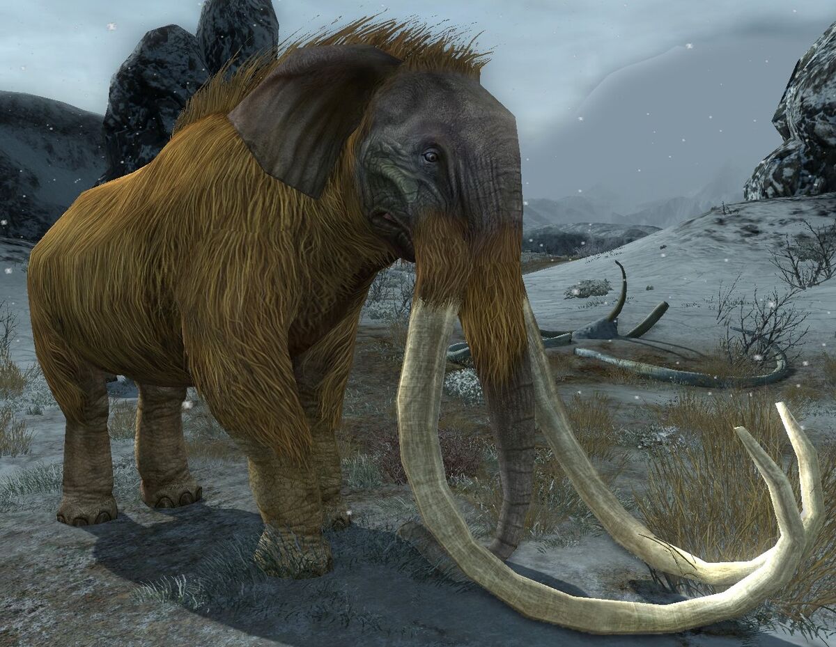 Winter-tusk - Lotro-Wiki.com