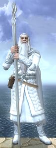 Guise of Gandalf the White