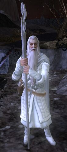 Costume of Gandalf the White