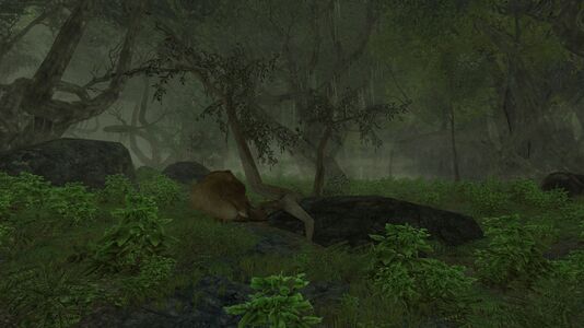 Bear corpse outside the spider den