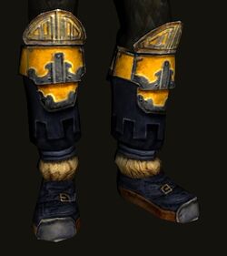 High-protector's Boots