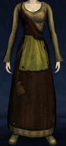 Shabby Dress