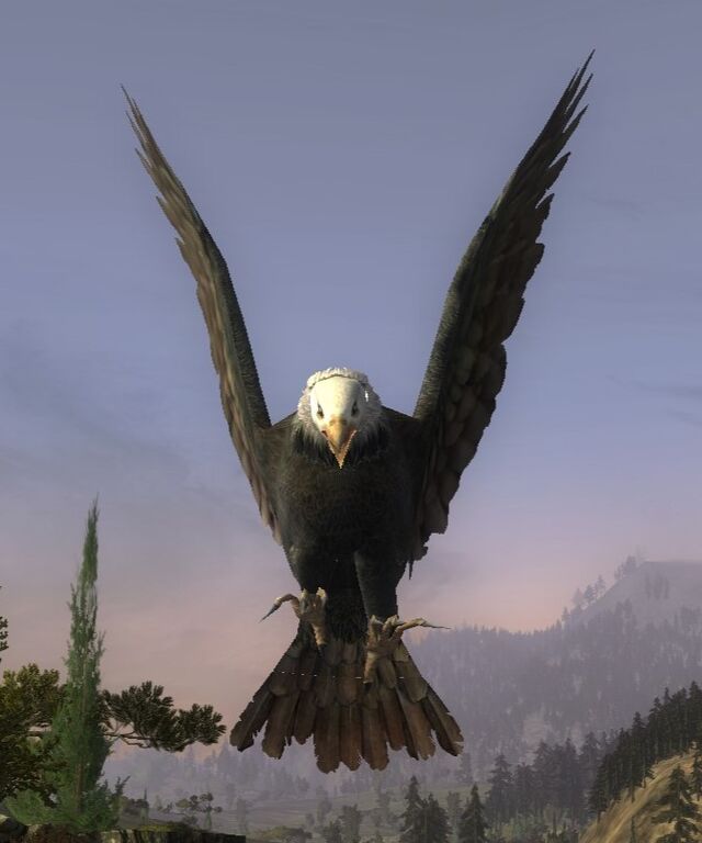 Sea-hawk - Lotro-Wiki.com