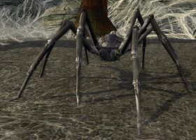 Black Camel Appearance Legacy of Morgoth Ultimate Fan Bundle