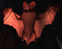 Múrgzot the Gloom-lord, leader of the Plagued Great-bats of Agarnaith.