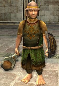Hobbit Male Property Guard