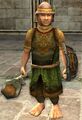 Male Hobbit Property Guard (Facial Features are Random)