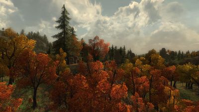 View of the autumnal forests near Thorenhad