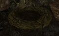 Thumbnail for version as of 18:29, 6 September 2025