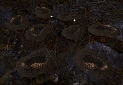 Image of Conspicuous Bootprints