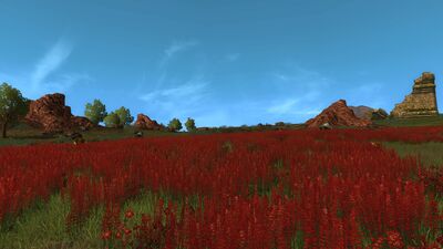 Fields of crimson