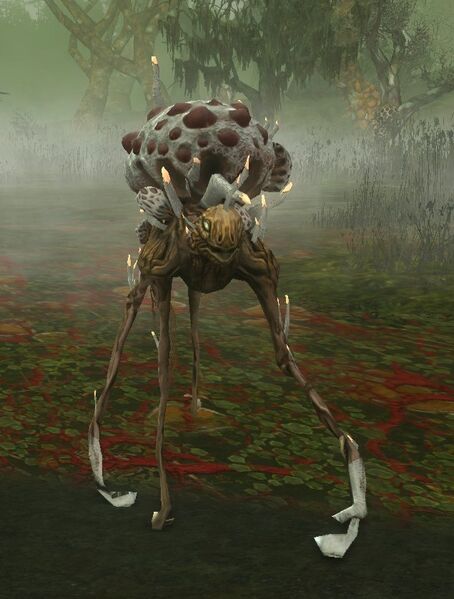 File:Adagím Fen-ambler.jpg