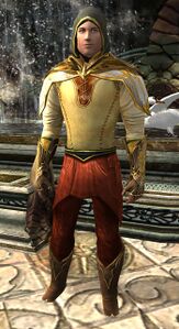 Image of Dol Amroth Quartermaster (Minstrel Armour)