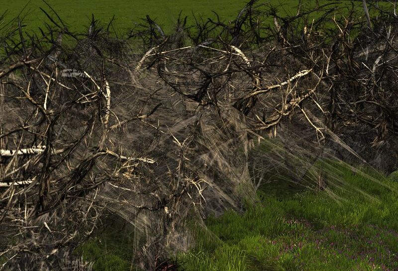 File:Webbed Thorny Hedge.jpg