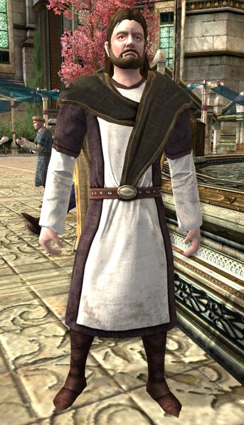 File:Dol Amroth Quartermaster (Beorning Armour).jpg