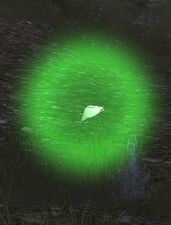 Summer Concert Firefly