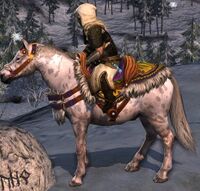 Image of Icy Expeditions Steed