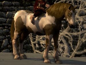 Tobiano Coat: Liver Chestnut