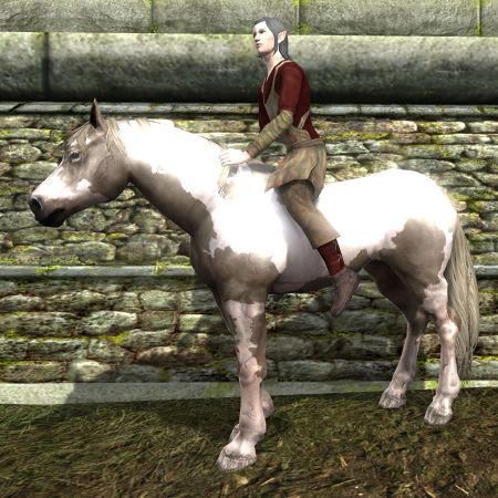 Tobiano Coat: Default