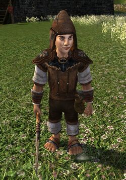 Holbytlan Property Guard