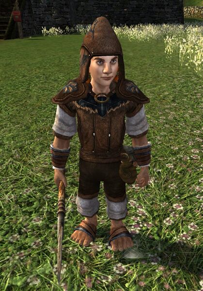 File:Holbytlan Property Guard.jpg