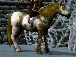 Overo Coat: Seal Brown