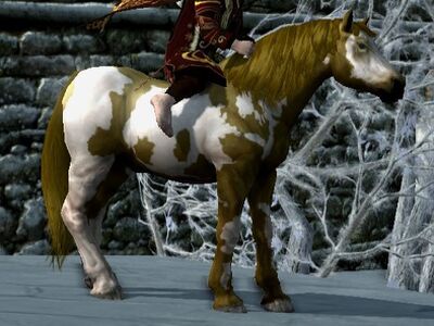 Overo Coat: Seal Brown