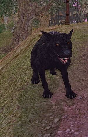 Raugshad the Ravener.jpg