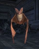 Shrieking Dark-claw bats lurk in the upper levels of Moria.