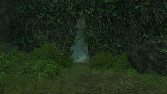 Thick vines create walls between areas