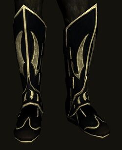 Boots of the Faron