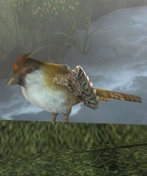 File:Sparrow (Gladden Fields).jpg