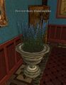 Thumbnail for version as of 04:49, 20 February 2017