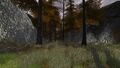 Thumbnail for version as of 03:28, 22 December 2017