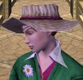 Thumbnail for version as of 20:13, 19 June 2016