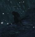 Thumbnail for version as of 06:56, 13 June 2021