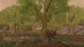 Thumbnail for version as of 11:41, 9 May 2023