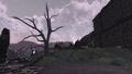 Thumbnail for version as of 02:07, 21 December 2017